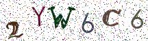 2YW6C6