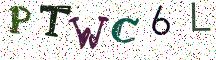 PTWC6L