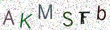 AKMSFb