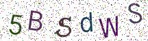 5BSdWS