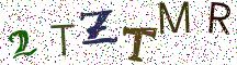 2TZTMR