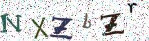 NXZbZr