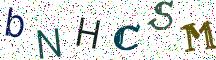 bNHCSM