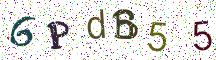6PdB55