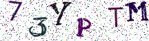 73YPTM
