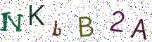 NKbB2A
