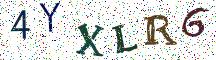 4YXLR6