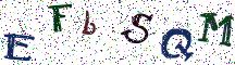 EFbSQM