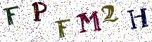 FPFM2H