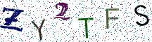ZY2TFS