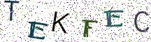 TEKFEC