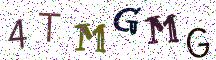 4TMGMG