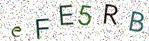 eFE5RB