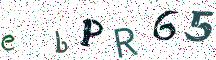 ebPR65