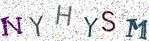 NYHYSM