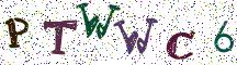 PTWWC6