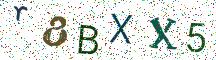 r8BXX5