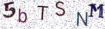 5bTSNM