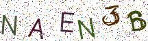 NAEN3B