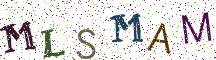 MLSMAM