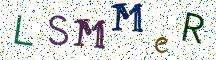 LSMMeR