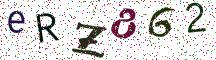 eRZ862