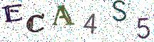 ECA4S5