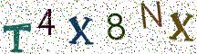 T4X8NX
