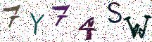 7Y74SW