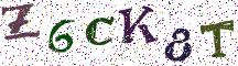 Z6CK8T