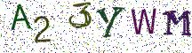 A23YWM