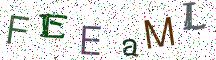 FEEaML
