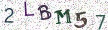 2LBM57
