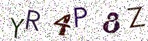 YR4P8Z