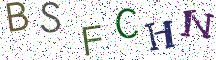 BSFCHN