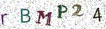 rBMP24