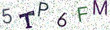 5TP6FM