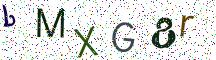 bMXG8r