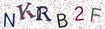NKRB2F