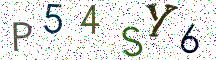 P54SY6