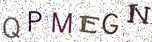 QPMEGN