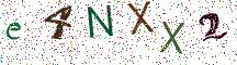 e4NXX2