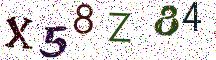 X58Z84
