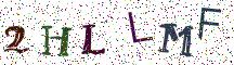 2HLLMF