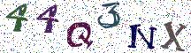 44Q3NX
