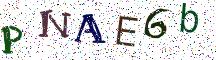 PNAE6b
