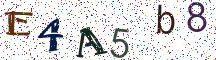 E4A5b8