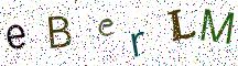 eBerLM