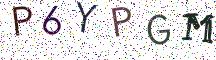 P6YPGM