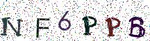 NF6PPB